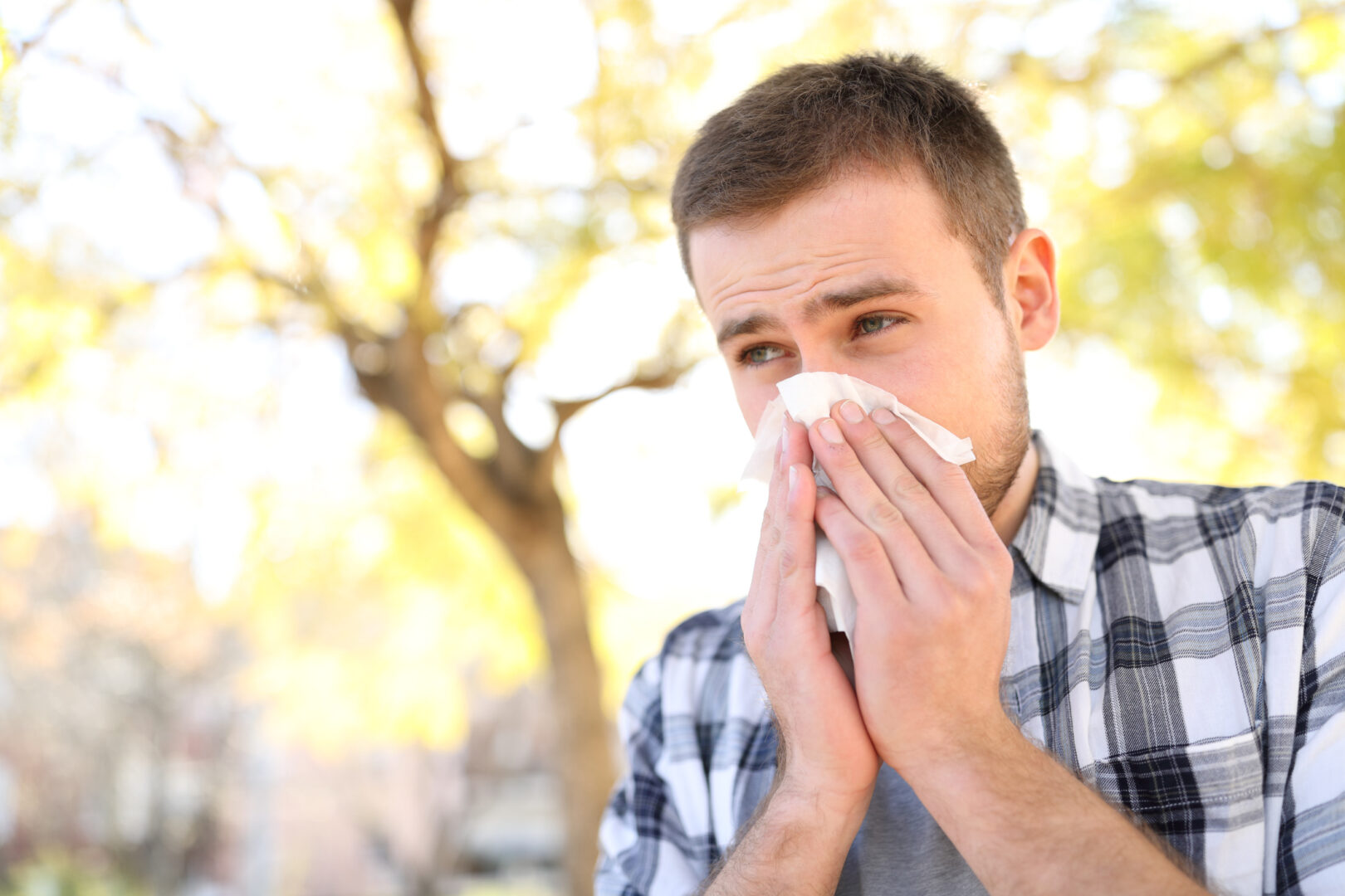 Sniffling, Sneezing and Wheezing: Avoiding Those Springtime Allergies ...