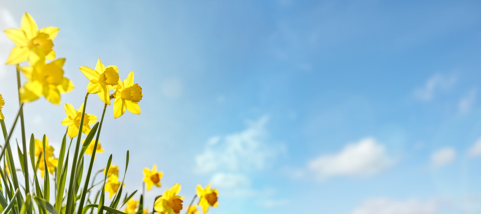 From Bentley and Ellie April 2021