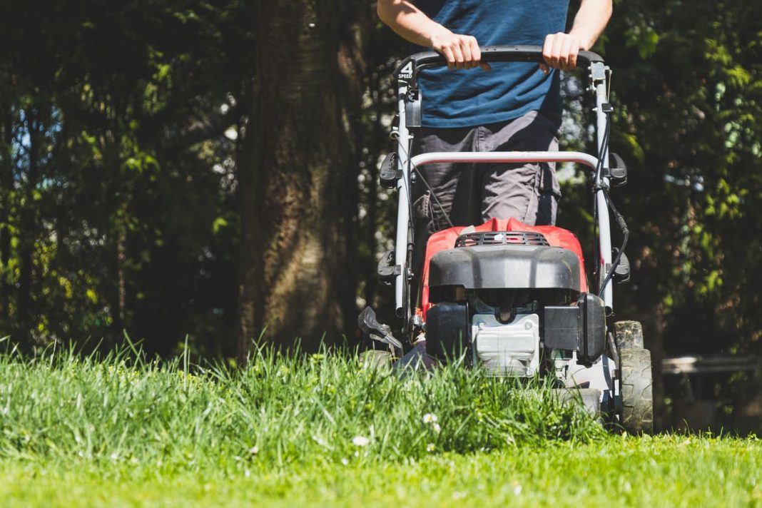 10 Lawn Care and Maintenance Tips for Any Season