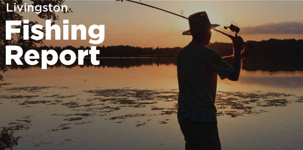 Livingston fishing report
