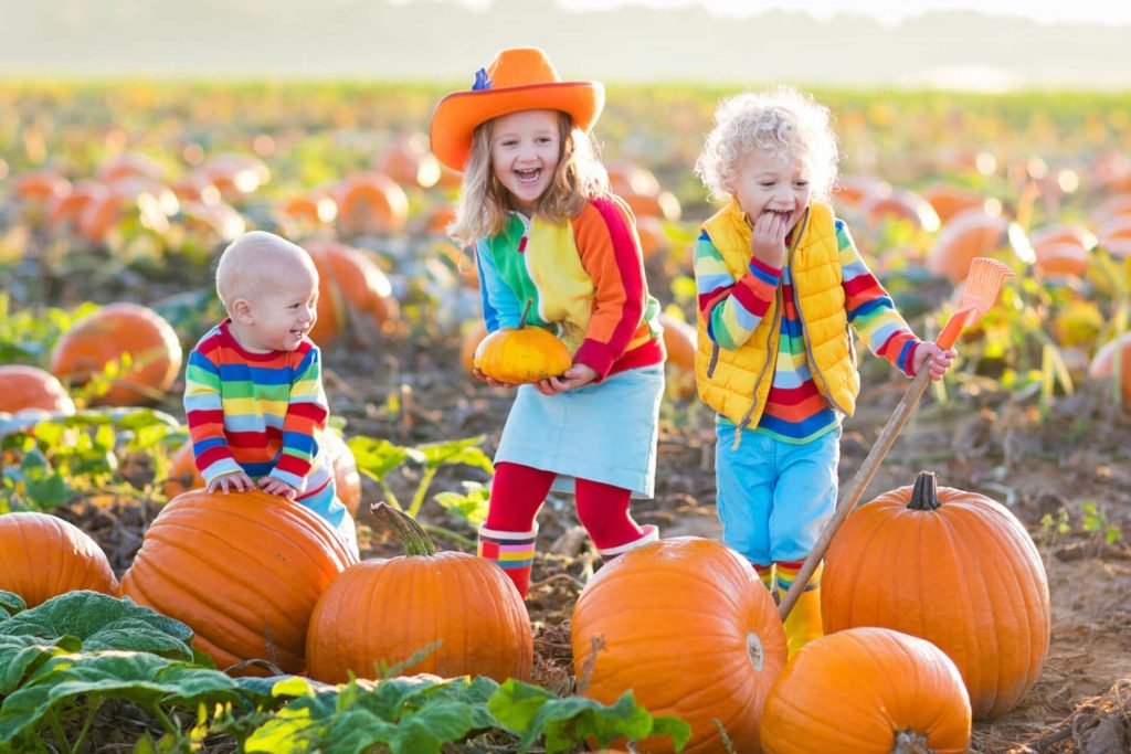 Fun Fall Activities in Texas to do with Your Family