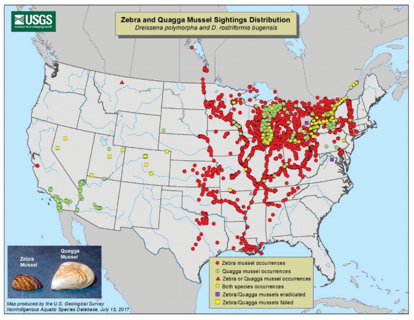 SJRA Zebra Mussel Inspection Program Dock Line Magazine