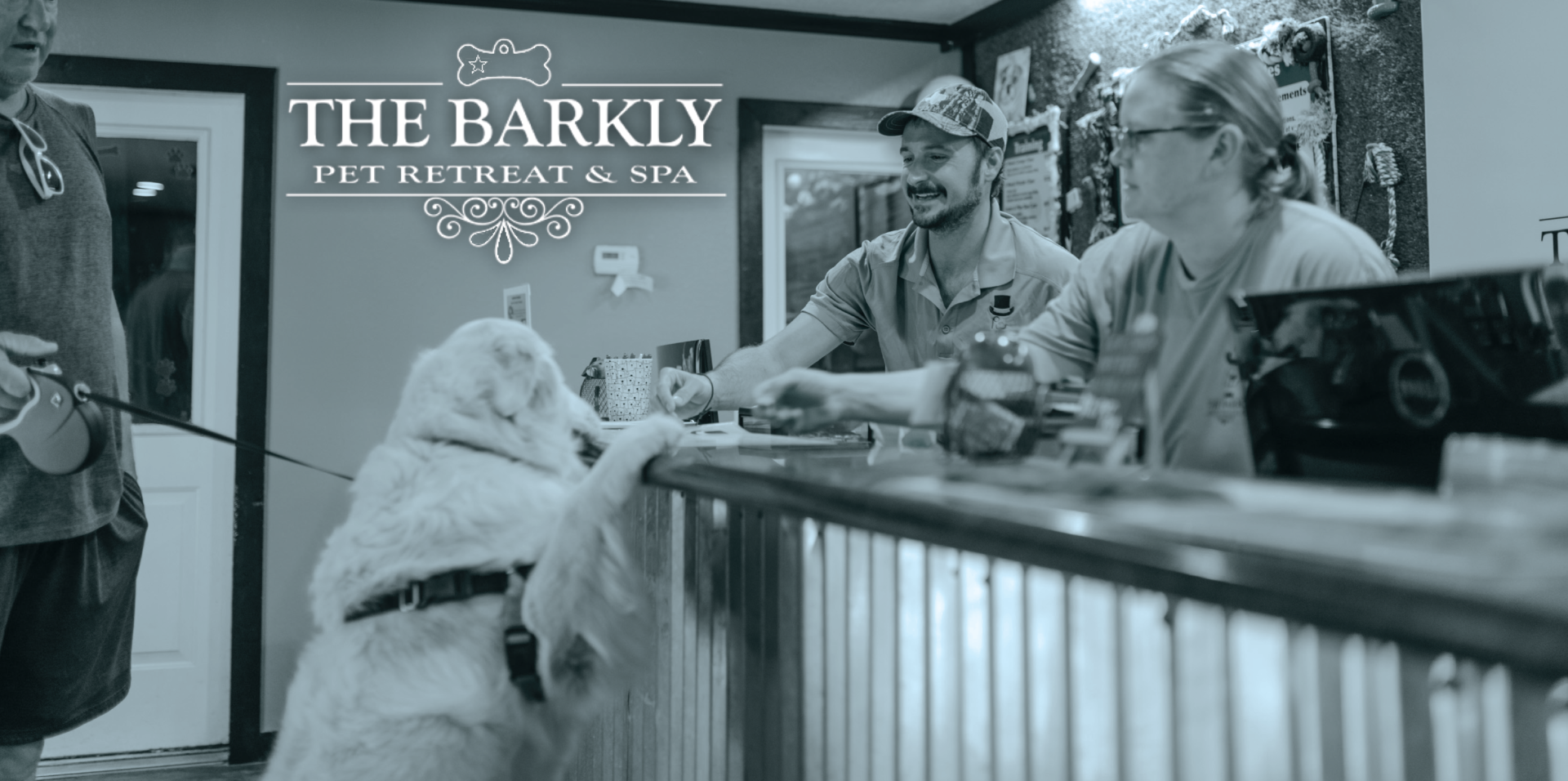 The barkly pet hot sale retreat and spa