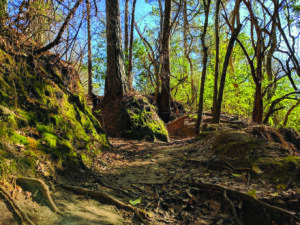 What are the Best Parks Near Me? - Dock Line Magazine